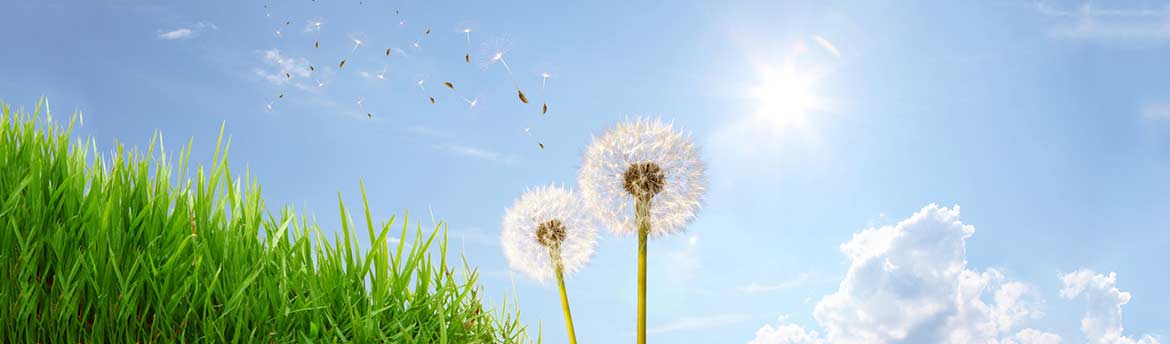 Come meteo e temperatura influenzano le capacità cognitive