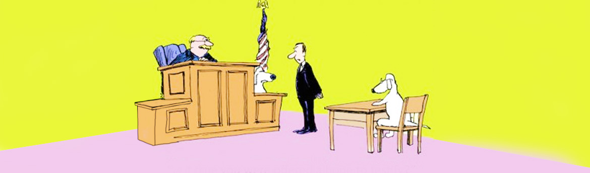 Tribunale e testimoni: come porre le domande?